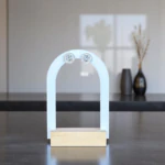 Puces d'oreilles étoile argentées à contour scintillant sur présentoir arche blanc